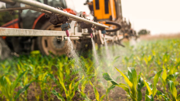 Reliable Saw Creek, PA Pest Control Solutions